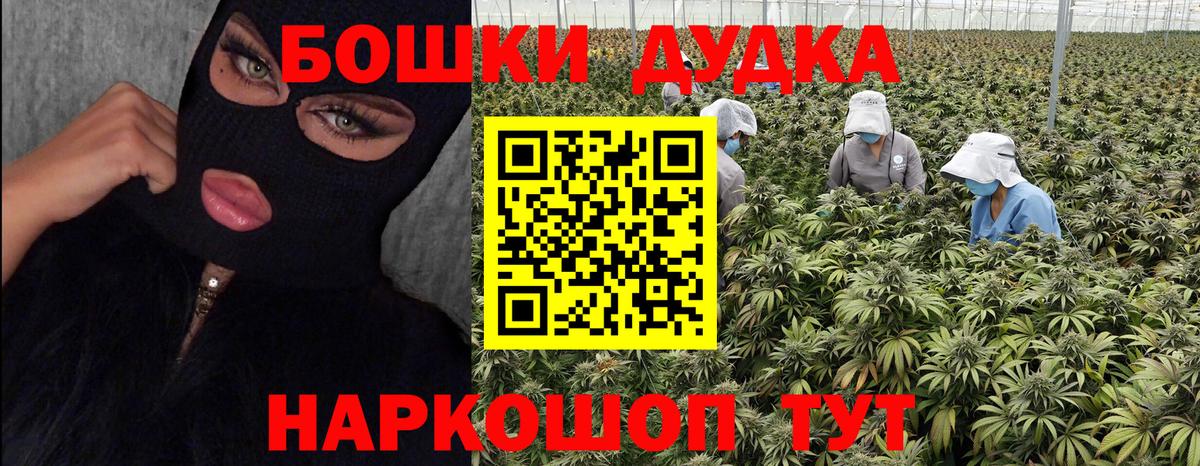 Канабис Bruce Banner  Канабис тримм  Вход с VPN  МАРИХУАНА OG Kush  Марихуана ГИДРОПОН  Лысьва 